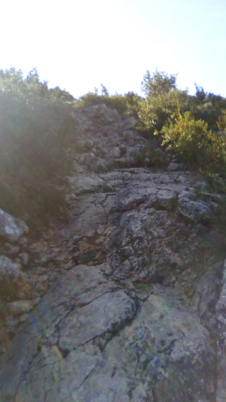 Photo n° 22 de l'avis de S.Israel.a fait le 08/02/2018 à 16:26