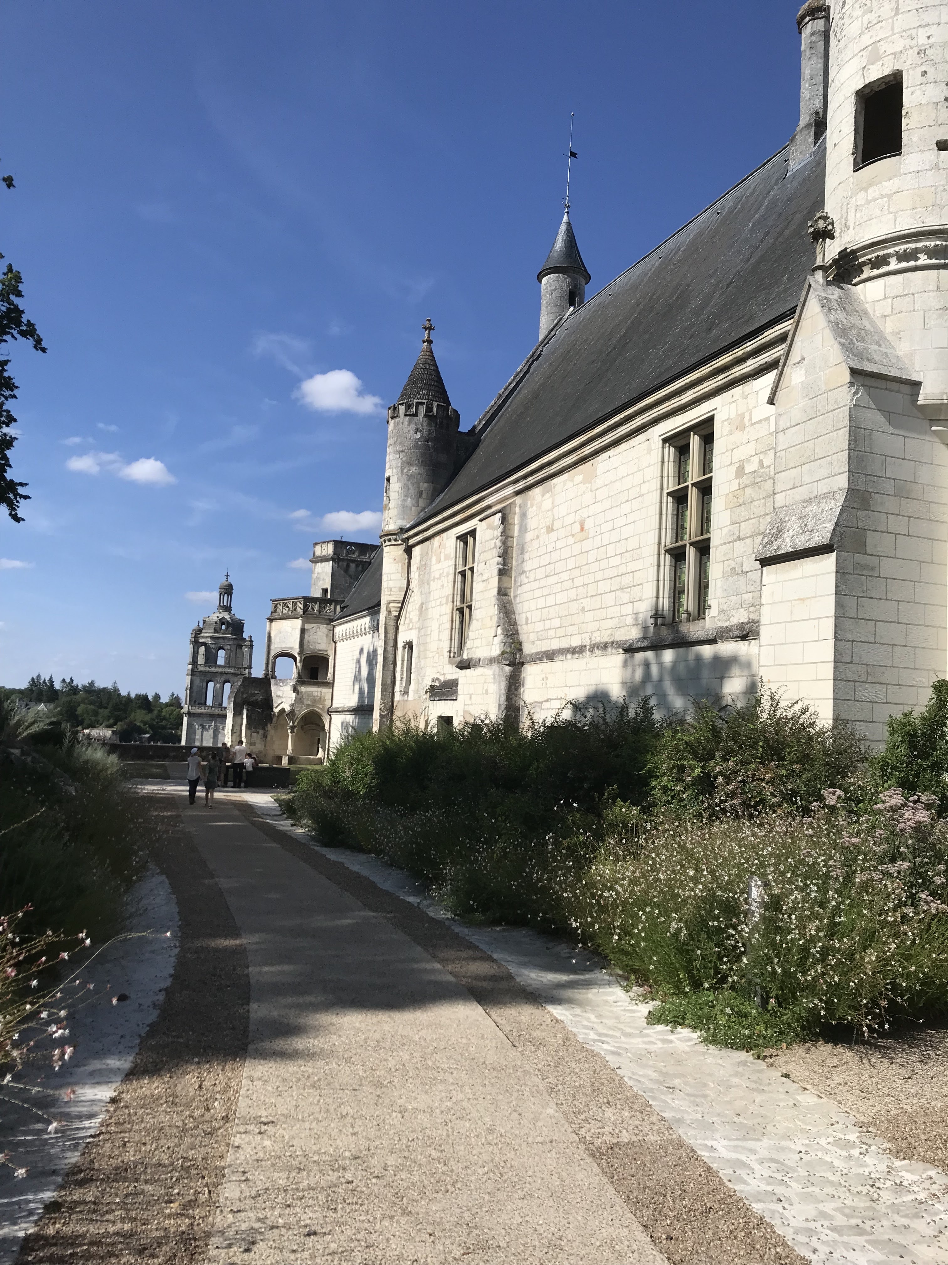 Photo n° 4 de l'avis de Angélique.s fait le 24/07/2023 à 11:42