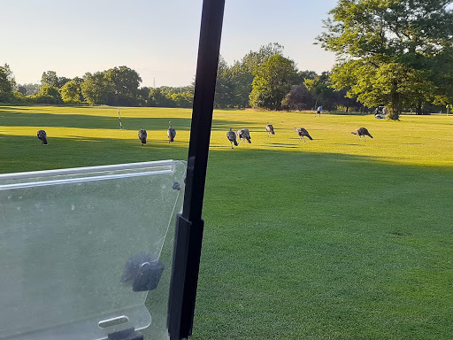 Public Golf Course «Rouge Park Golf Course», reviews and photos, 11701 Burt Rd, Detroit, MI 48228, USA