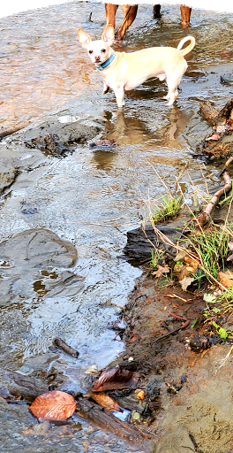 Park «Watkins Regional Park», reviews and photos, 301 Watkins Park Dr, Upper Marlboro, MD 20774, USA