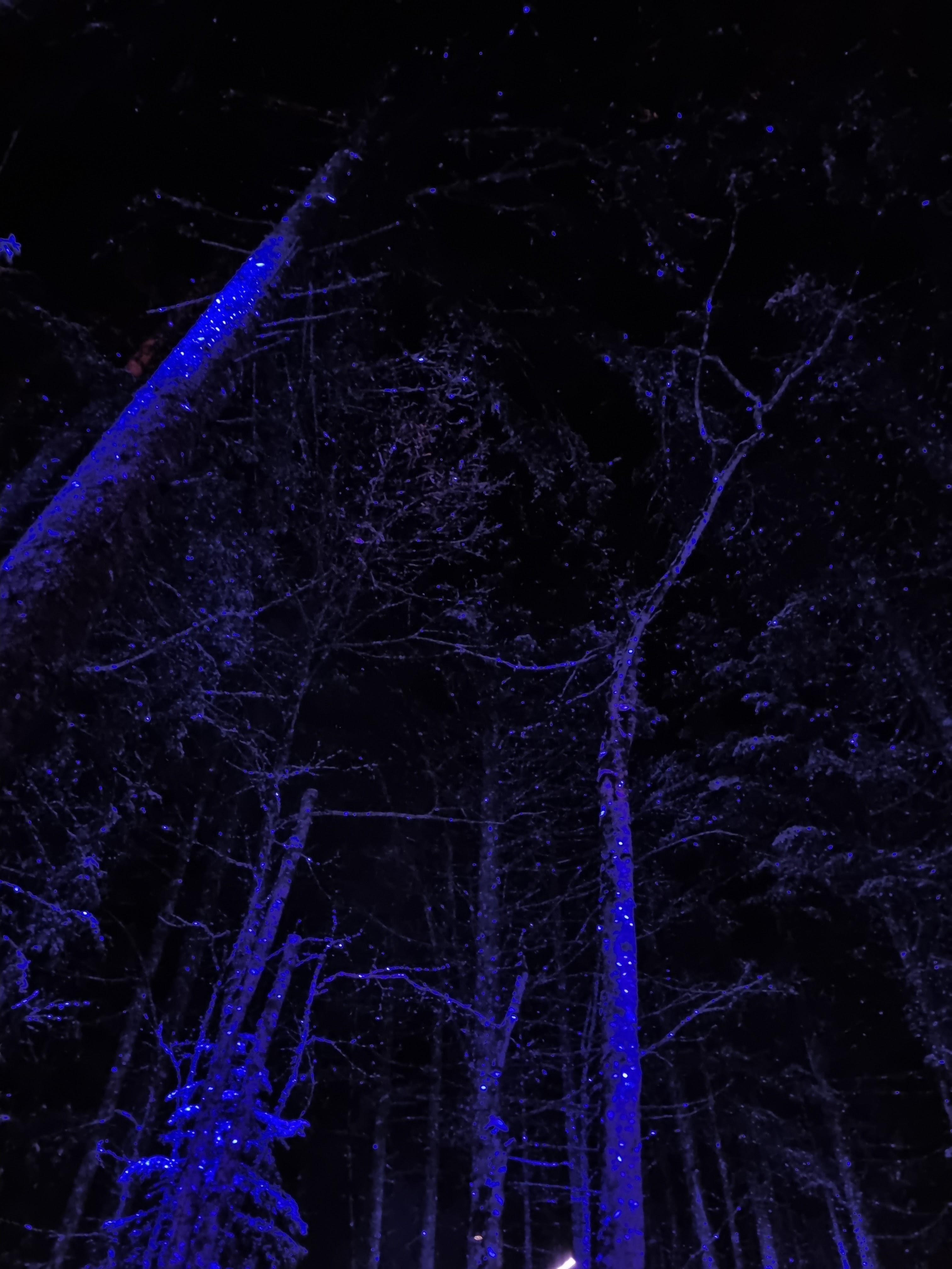 Photo n° 2 de l'avis de izzo.a fait le 06/03/2024 à 20:27