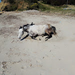Photo n°2 de l'avis de Renzo.a fait le 13/03/2021 à 11:52 sur le  Baglio Maragani Ristorante e B&B à Sciacca
