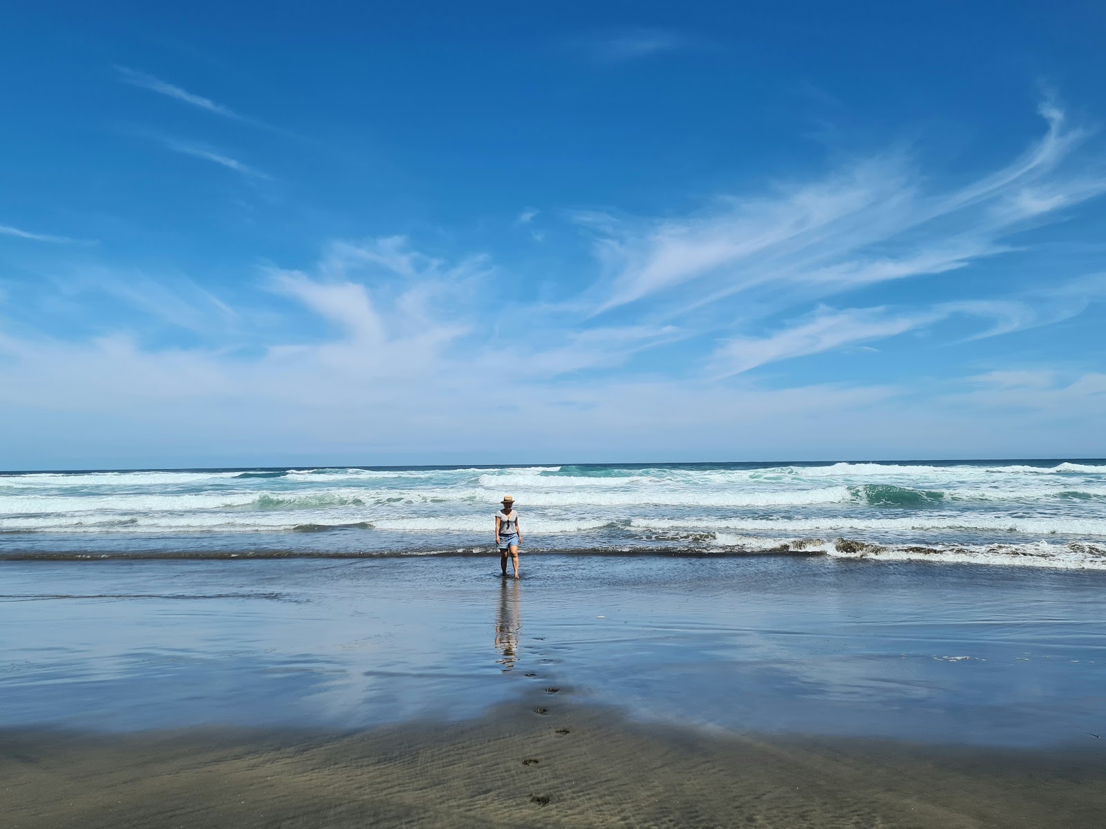 Photo of North Piha Beach with very clean level of cleanliness