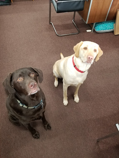 Pawn Shop «J & K Associates Inc», reviews and photos, 2145 Pulaski Hwy, Havre De Grace, MD 21078, USA