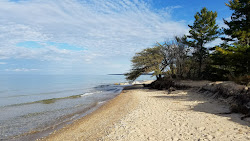 Zdjęcie Torch Bay Nature Preserve z powierzchnią turkusowa czysta woda