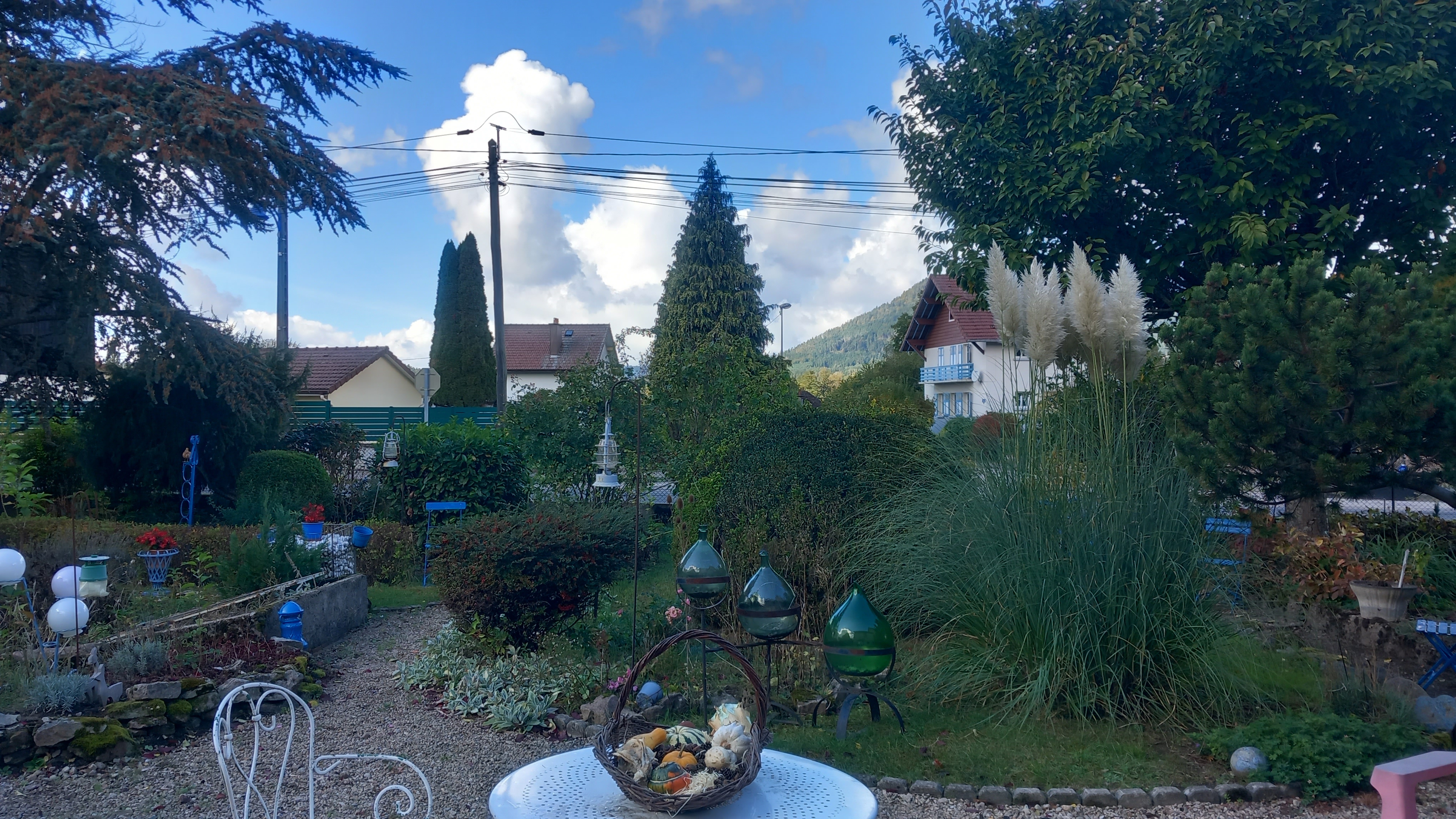 Photo n° 2 de l'avis de robin. fait le 15/10/2023 à 18:15