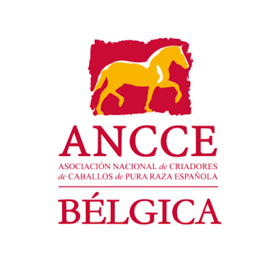 Ancce-Belgica