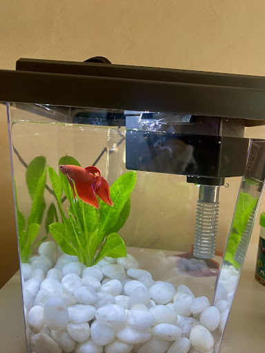 Pet Supply Store «PetSmart», reviews and photos, 16257 N Scottsdale Rd, Scottsdale, AZ 85254, USA