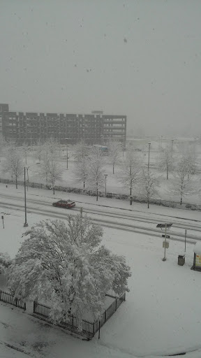 Non-Profit Organization «Urban Ministries of Durham», reviews and photos