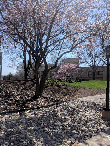 Conference Center «The National Conference Center», reviews and photos, 18980 Upper Belmont Pl, Leesburg, VA 20176, USA