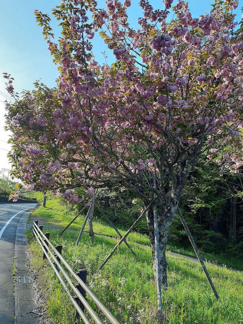 ケーヨーデイツー 御殿場店 静岡県御殿場市新橋 ホームセンター ホームセンター グルコミ