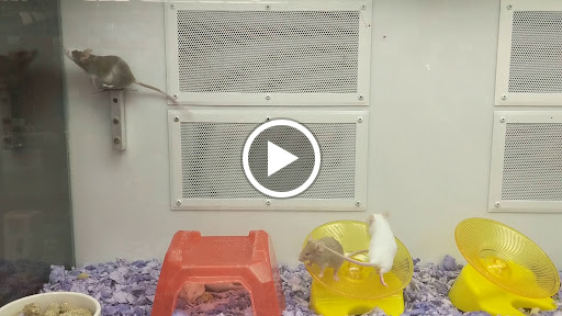 Pet Supply Store «Petco Animal Supplies», reviews and photos, 1337 N National Rd, Columbus, IN 47201, USA