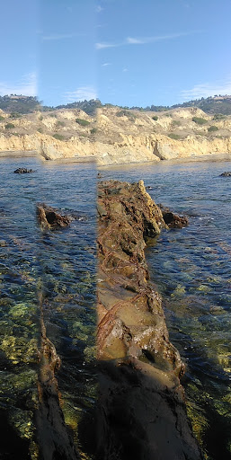 Nature Preserve «Forrestal Nature Reserve», reviews and photos, 32201 Forrestal Dr, Rancho Palos Verdes, CA 90275, USA