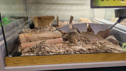 Pet Supply Store «Pet Loft», reviews and photos, 6333 SW Macadam Ave #104, Portland, OR 97239, USA