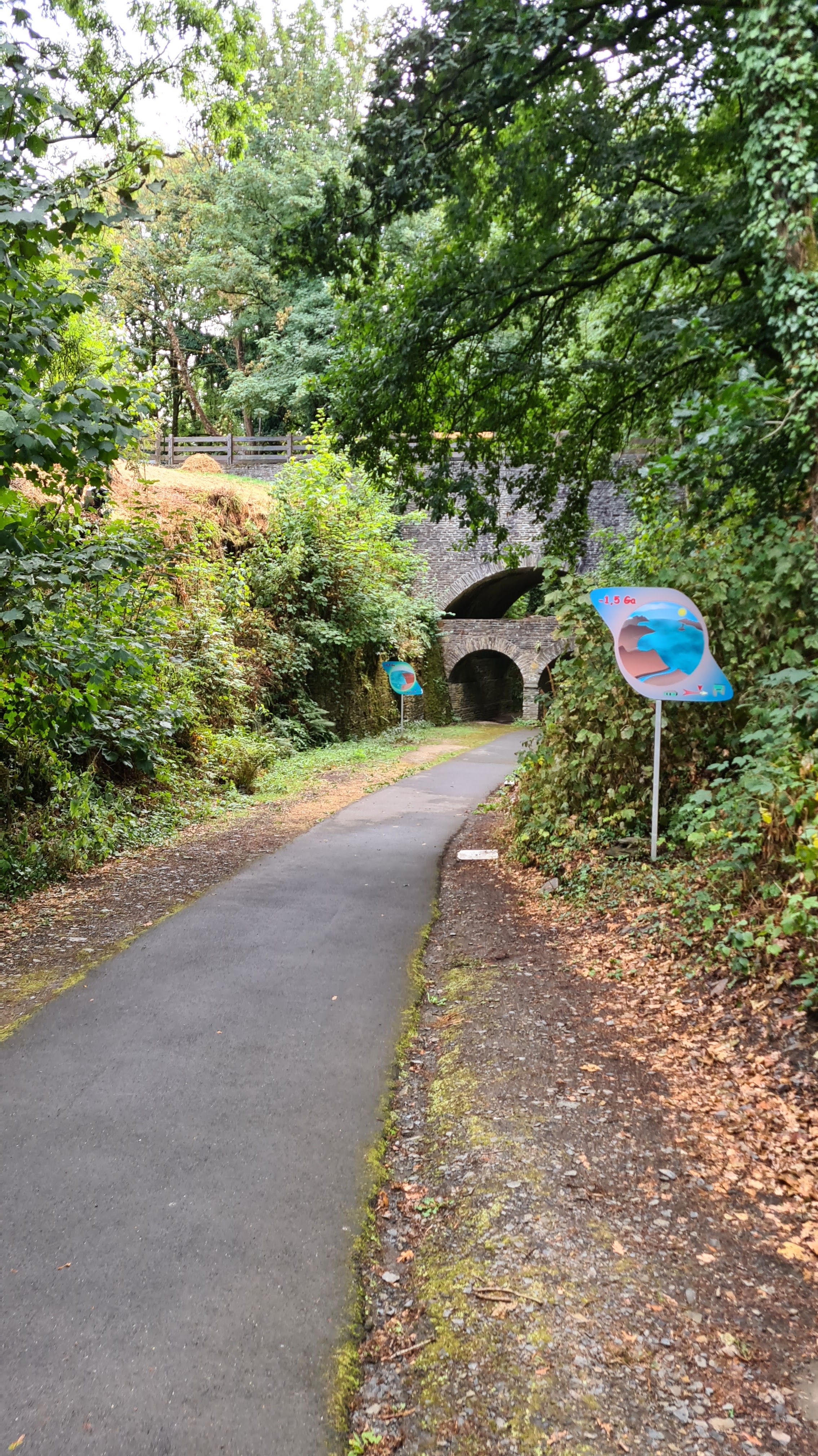 Photo n° 9 de l'avis de Guillaume.u fait le 19/08/2022 à 10:52