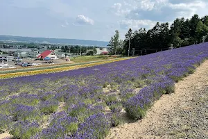 Furano Lavender Fields image