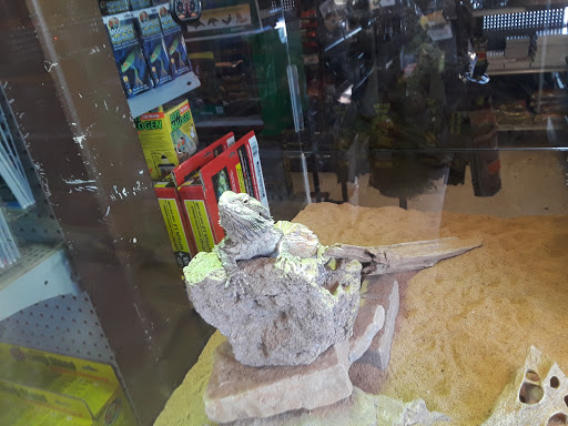Pet Supply Store «Pet Bazaar», reviews and photos, 490 FL-436, Casselberry, FL 32707, USA