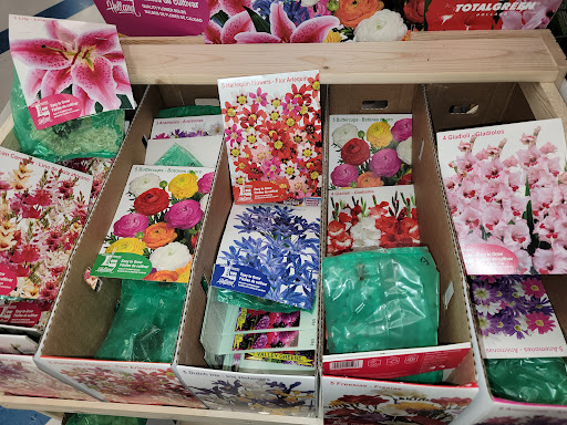 Discount Store «99 Cents Only Stores», reviews and photos, 301 Arneill Rd, Camarillo, CA 93010, USA