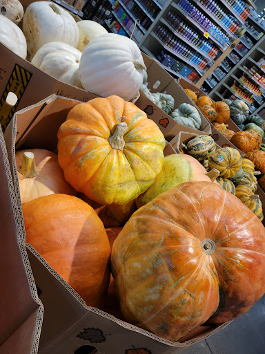 Grocery Store «H-E-B Grocery», reviews and photos, 407 S Adams St, Fredericksburg, TX 78624, USA