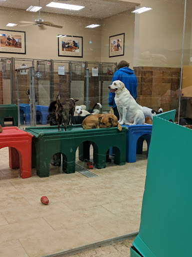 Pet Supply Store «PetSmart», reviews and photos, 13866 Metrotech Dr, Chantilly, VA 20151, USA