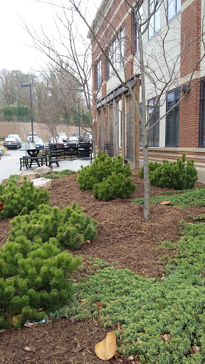 Mental Health Clinic «New Horizons Healthcare», reviews and photos, 3716 Melrose Ave NW, Roanoke, VA 24017, USA