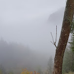 Photo n°8 de l'avis de The.a fait le 30/10/2019 à 08:59 sur le  Hotel Schwörer mit Restaurant à Lenzkirch