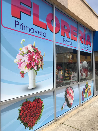 Primavera Flower Shoppe, 4166 Buford Hwy NE S1A, Atlanta, GA 30345, USA, 