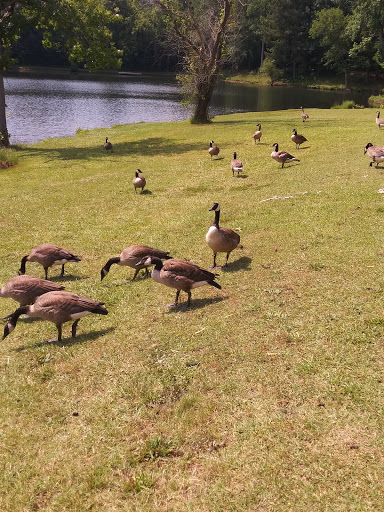 National Park «Kings Mountain National Military Park», reviews and photos, 2625 Park Rd, Blacksburg, SC 29702, USA