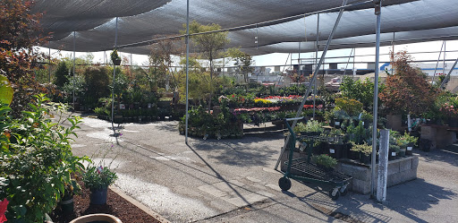 Hardware Store «Payless Hardware, Rockery and Nursery», reviews and photos, 2927 King Rd, San Jose, CA 95122, USA