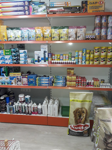 Mercan Akvaryum | Manavgat Antalya - Evcil hayvan mağazası