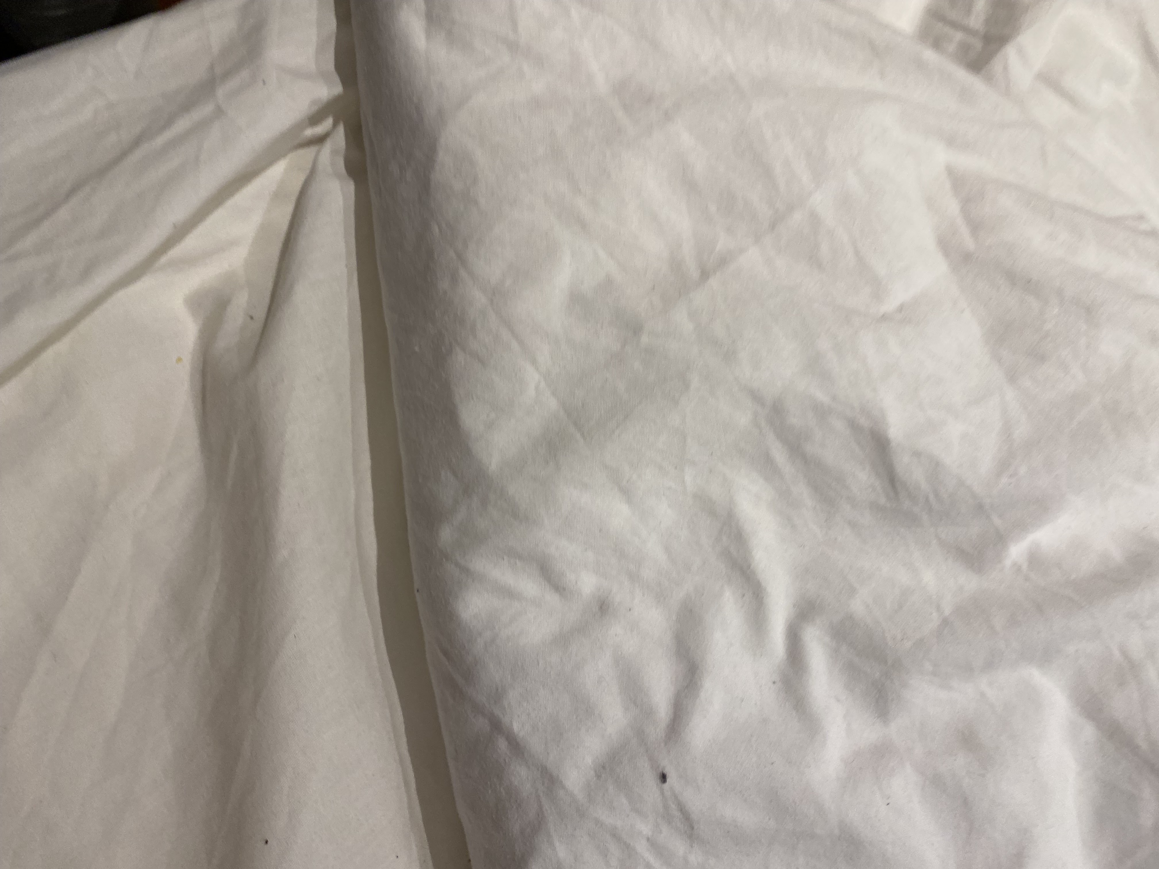 Photo n° 4 de l'avis de Pat.a fait le 16/03/2024 à 20:27