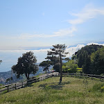 Photo n°2 de l'avis de Ambra.n fait le 07/05/2023 à 16:42 sur le  Trattoria del Liberale à Genoa