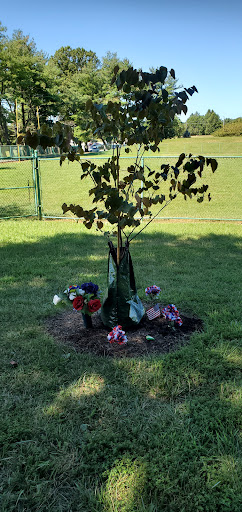 Park «Delcastle Recreational Park», reviews and photos, 2920 Duncan Rd, Wilmington, DE 19808, USA