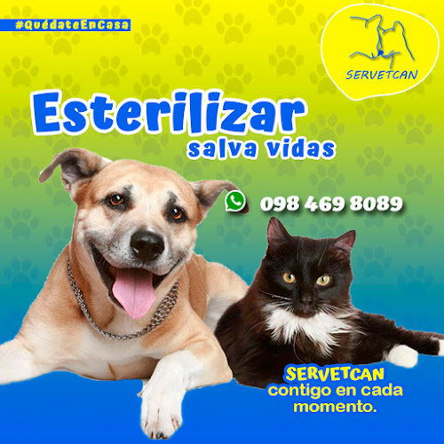 Clínica Veterinaria SERVETCAN; Peluquería Canina, Cesáreas, Esterilizaciones, Vacunas. Pusuquí - Quito - Veterinario