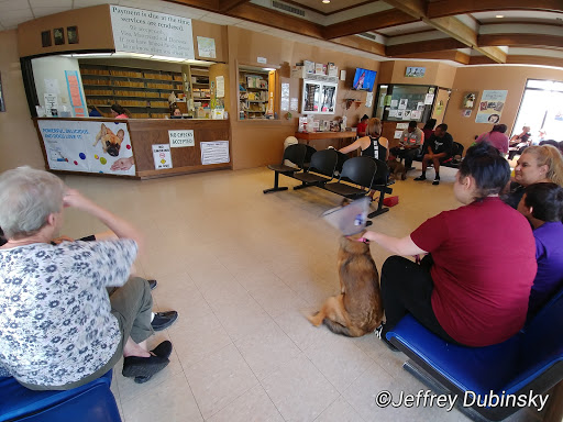 Associated Veterinary Services image