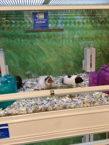 Pet Supply Store «PetSmart», reviews and photos, 15555 E 14th St, San Leandro, CA 94578, USA