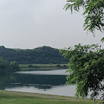 Photo n°2 de l'avis de Agnese. fait le 23/06/2023 à 06:30 sur le  Lucignolo Martignano à Anguillara Sabazia