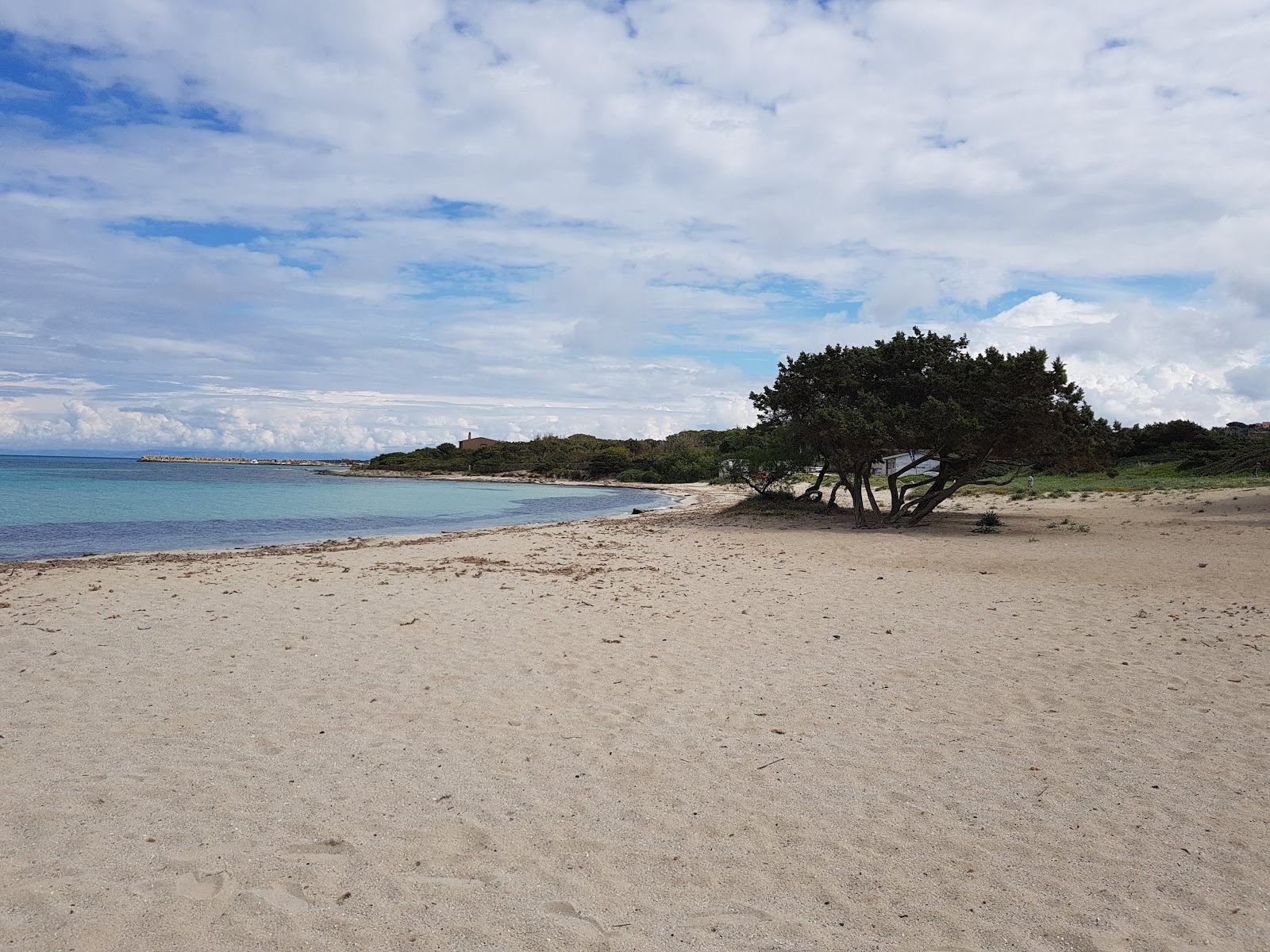 Foto von Spiaggia di Is Caogheddas wilde gegend