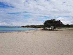 Foto von Spiaggia di Is Caogheddas wilde gegend