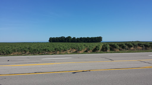 Winery «Arundel Cellars & Brewing Co», reviews and photos, 11727 E Main St, North East, PA 16428, USA