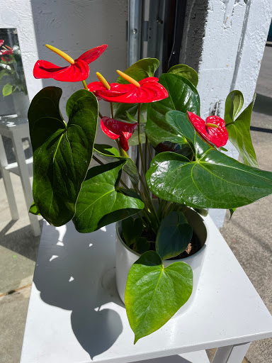 Florist «Grand Avenue Florist», reviews and photos, 1416 SE 8th Ave, Portland, OR 97214, USA