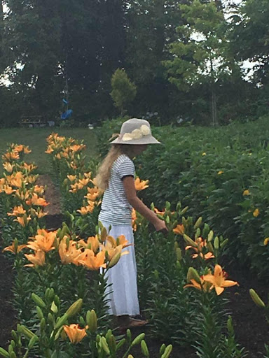 Florist «Pinewood and Posies», reviews and photos, 4547 White Oak Rd, Paradise, PA 17562, USA