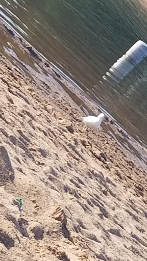 Park «Lake Elmo Park Reserve», reviews and photos, 1515 Keats Ave N, Lake Elmo, MN 55042, USA