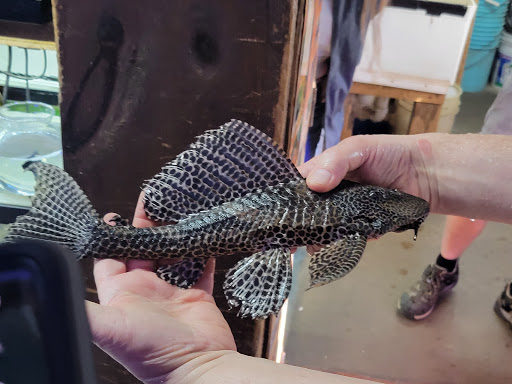 Tropical Fish Store «Emmons Tropical Fish & Ponds», reviews and photos, 1612 Hopmeadow St, Simsbury, CT 06070, USA