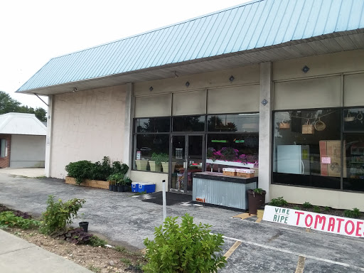 Grocery Store «Discount Groceries & More», reviews and photos, 2185 A1A S, St Augustine, FL 32080, USA