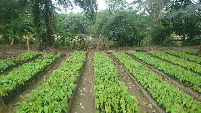 Opiniones de Vivero D' J & R en Quinindé - Centro de jardinería