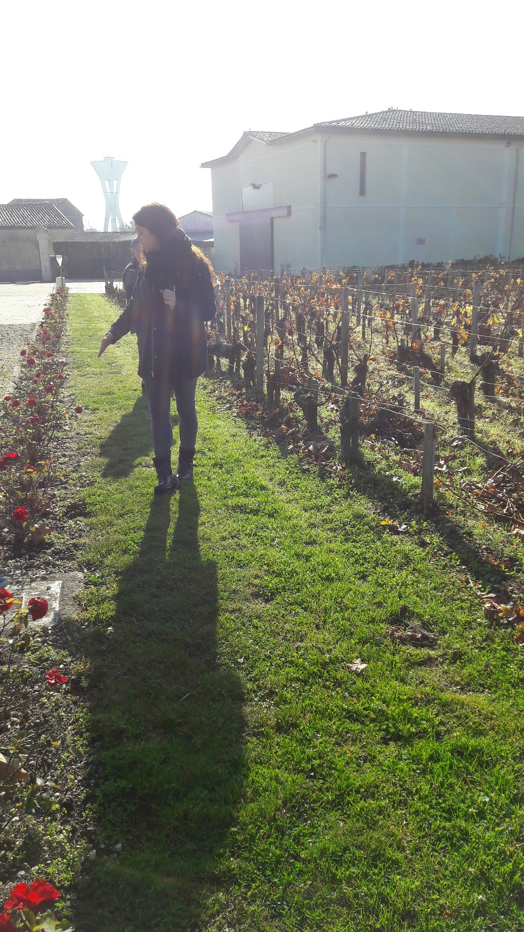 Photo n° 17 de l'avis de Christelle.a fait le 19/11/2017 à 09:59