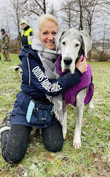 ODINS HUNDESCHULE