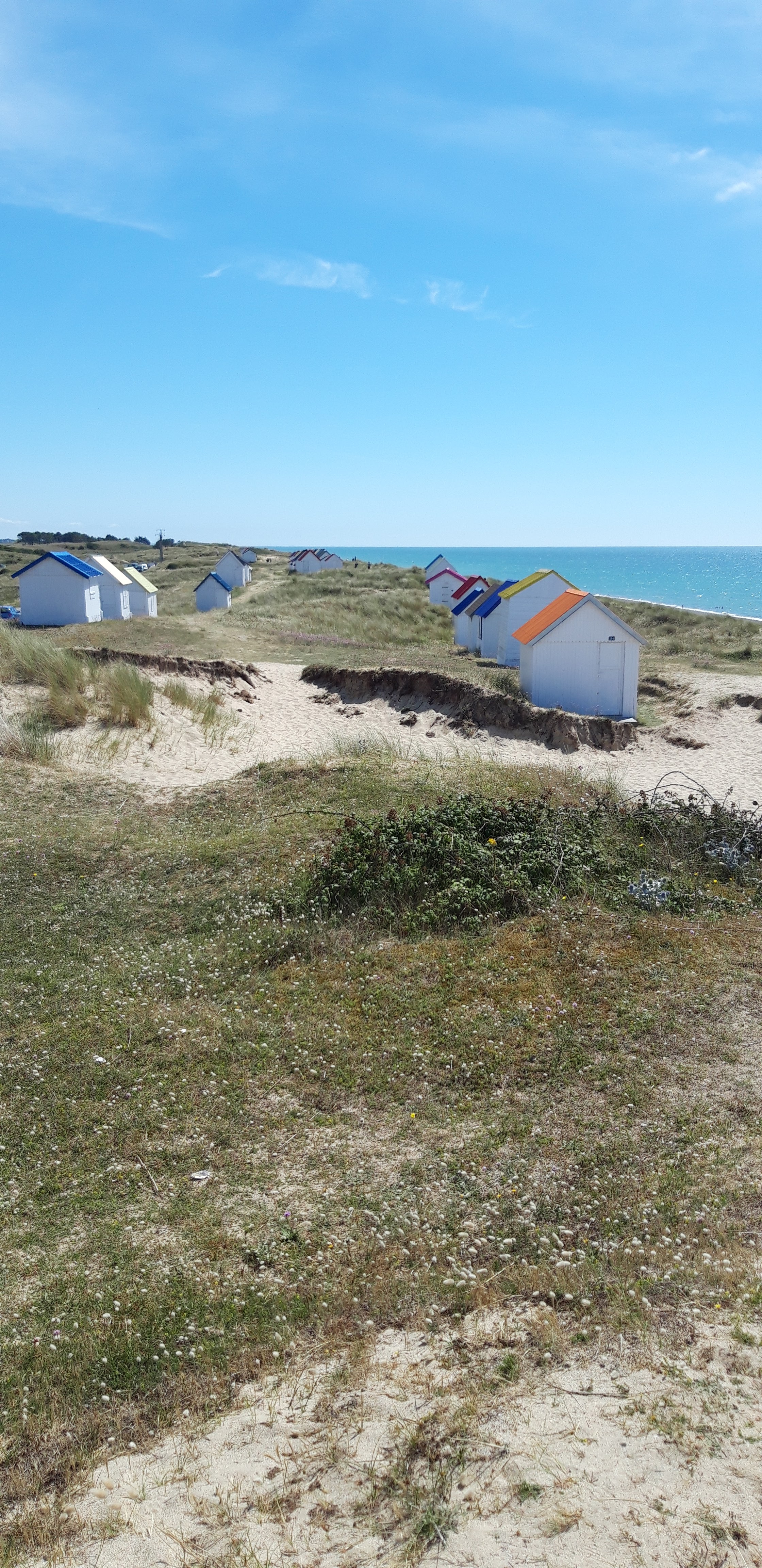 Photo n° 2 de l'avis de Cyrille. fait le 18/07/2020 à 20:58