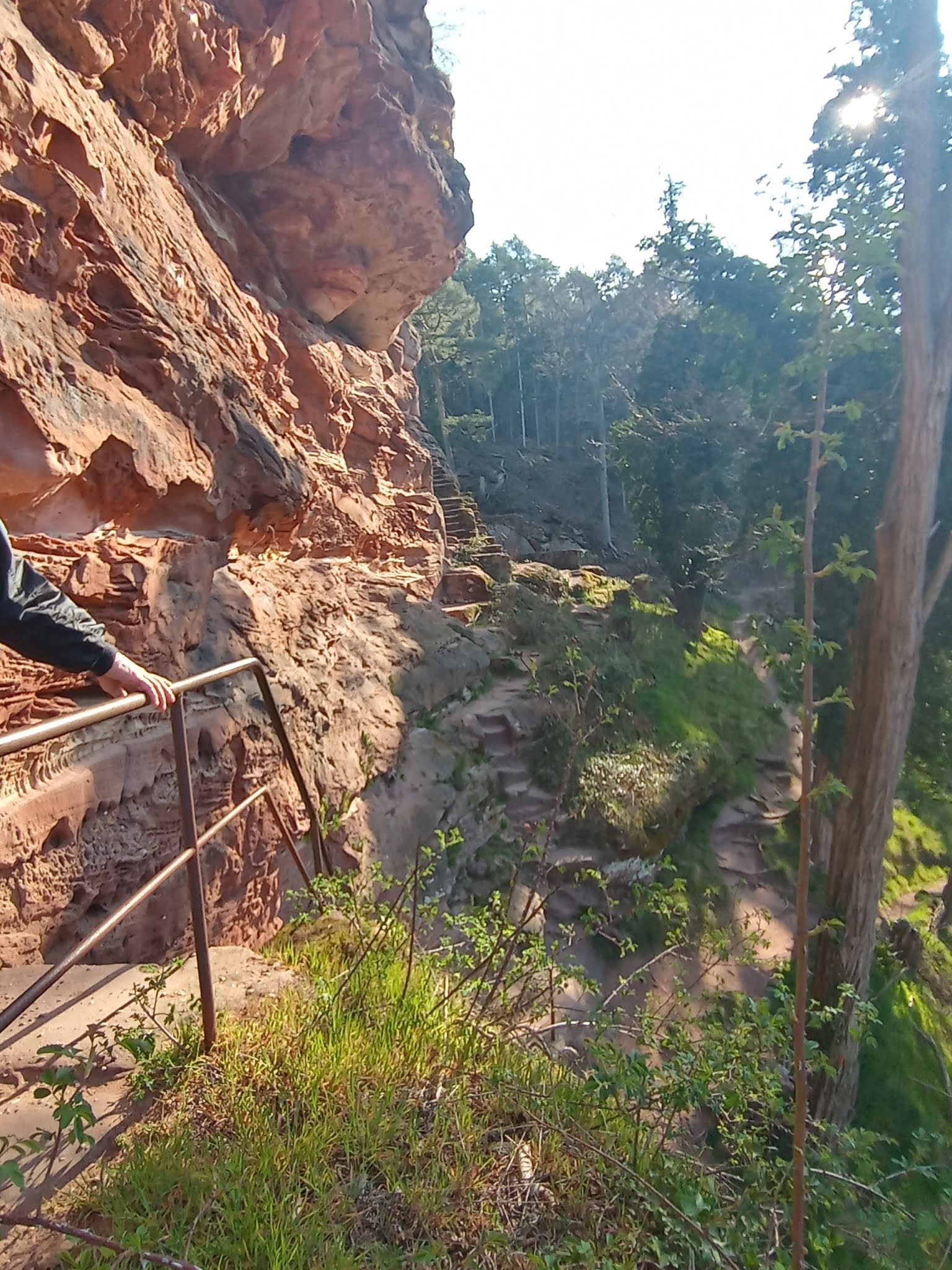 Photo n° 26 de l'avis de Manuela.s fait le 03/04/2021 à 09:38